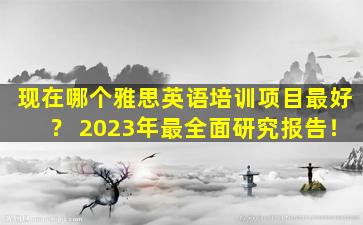 现在哪个雅思英语培训项目最好？ 2023年最全面研究报告！